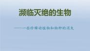 初中科学牛津上海版六年级上册第2章 生物的世界濒临灭绝的生物一些珍稀动植物教学课件ppt