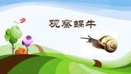 初中科学观察动物示范课课件ppt