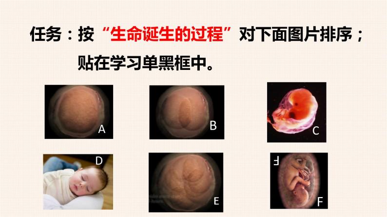 生命的诞生（课件+视频）02