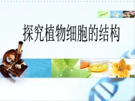 生物的基本单位——探究植物细胞的结构 课件