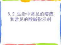 常见的酸碱指示剂 (第一课时) 课件