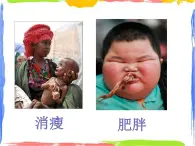 人體內能量的平衡與調節(jié)（課件+學生活動單）
