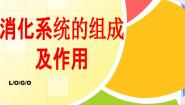 2020-2021学年食物的消化多媒体教学课件ppt