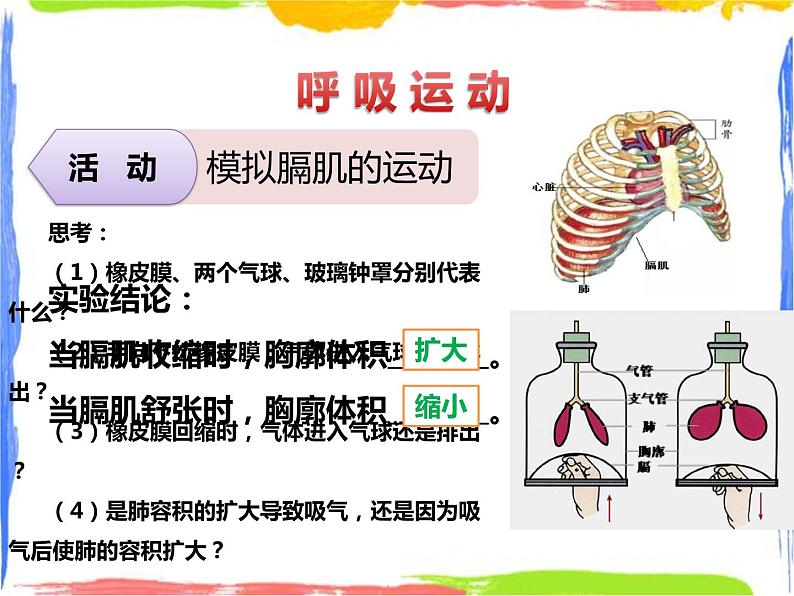 5.2人体的呼吸 第2课时(课件+教案+练习)06