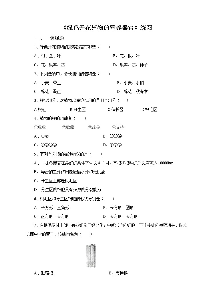 4.1绿色开花植物的营养器官 第1课时 （课件+教案+练习）01