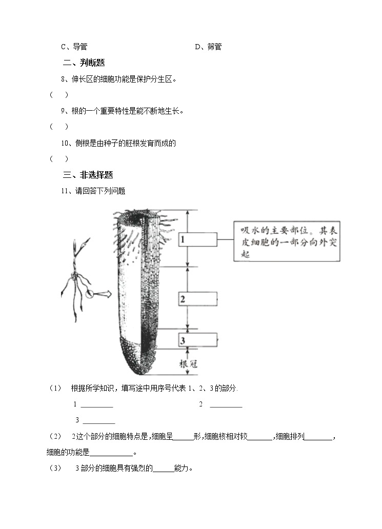 4.1绿色开花植物的营养器官 第1课时 （课件+教案+练习）02