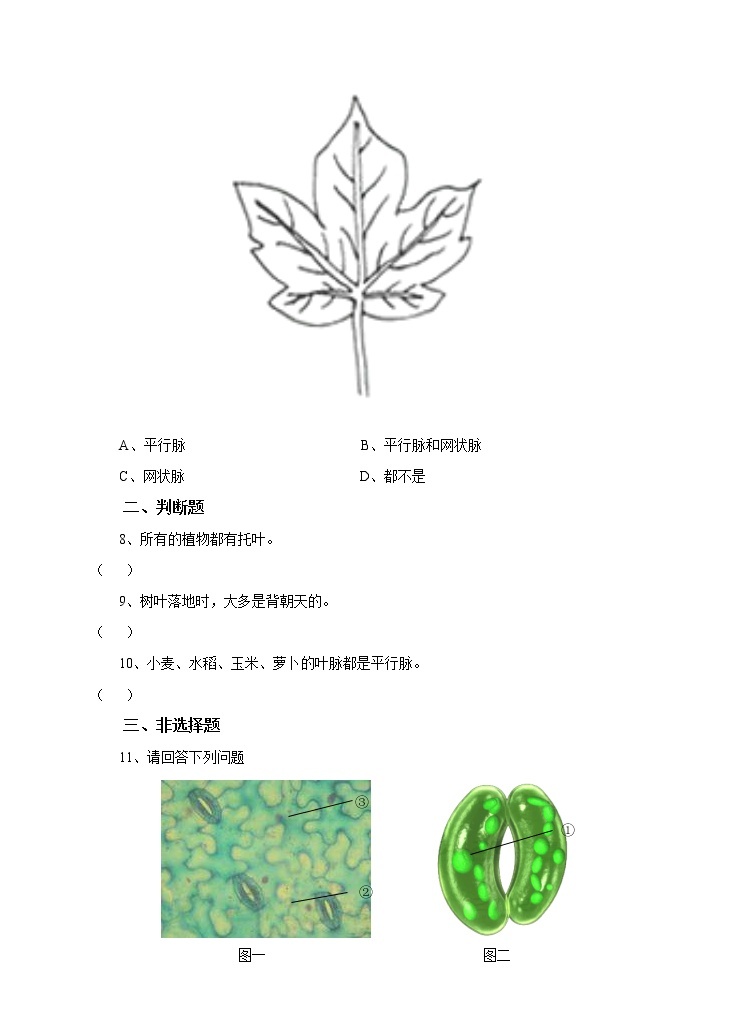 4.1绿色开花植物的营养器官 第3课时 （课件+教案+练习）02