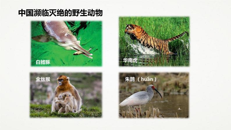 3.3 保护生物多样性 （课件 共26张ppt）07