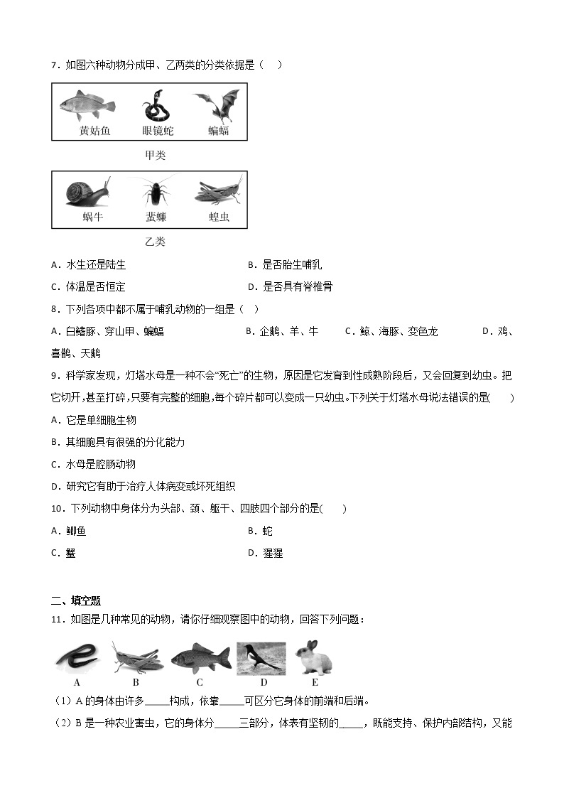 2.1动物的主要类群-华东师大版七年级科学上册同步检测02