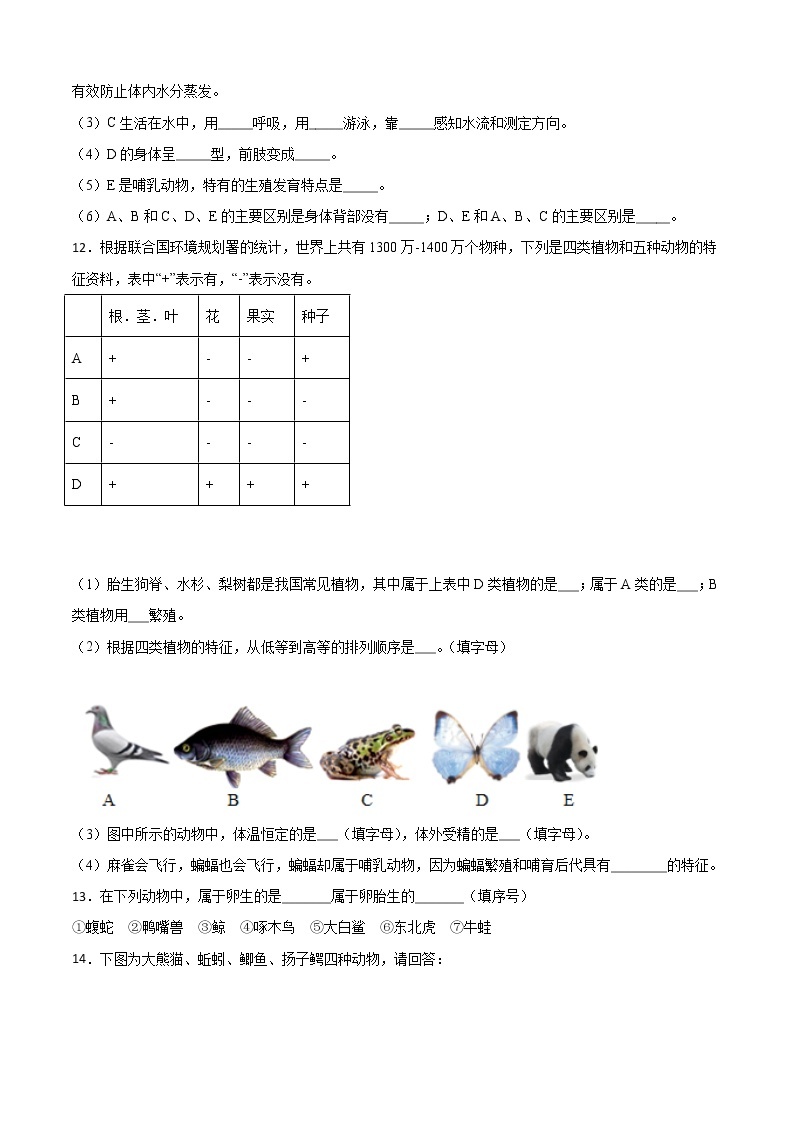 2.1动物的主要类群-华东师大版七年级科学上册同步检测03