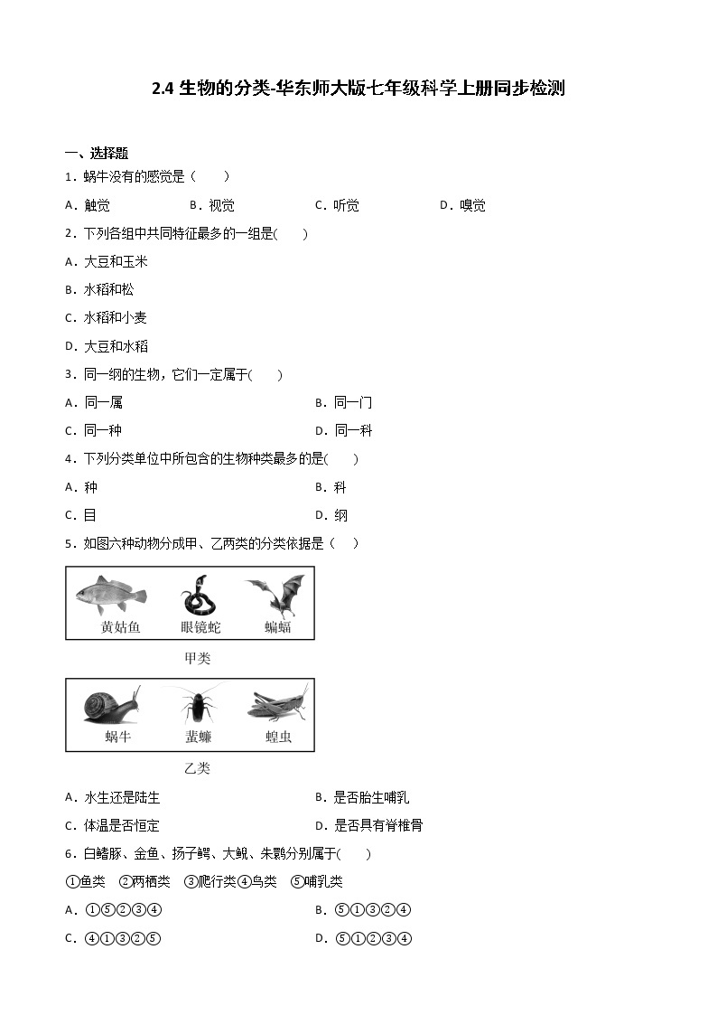 2.4生物的分类-华东师大版七年级科学上册同步检测01