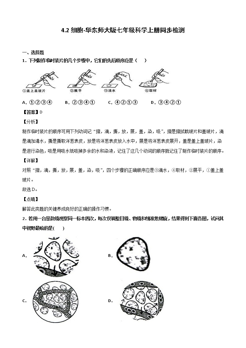 4.2细胞-华东师大版七年级科学上册同步检测01