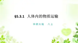 5.3.1 人體內(nèi)的物質(zhì)運(yùn)輸 課件PPT+視頻