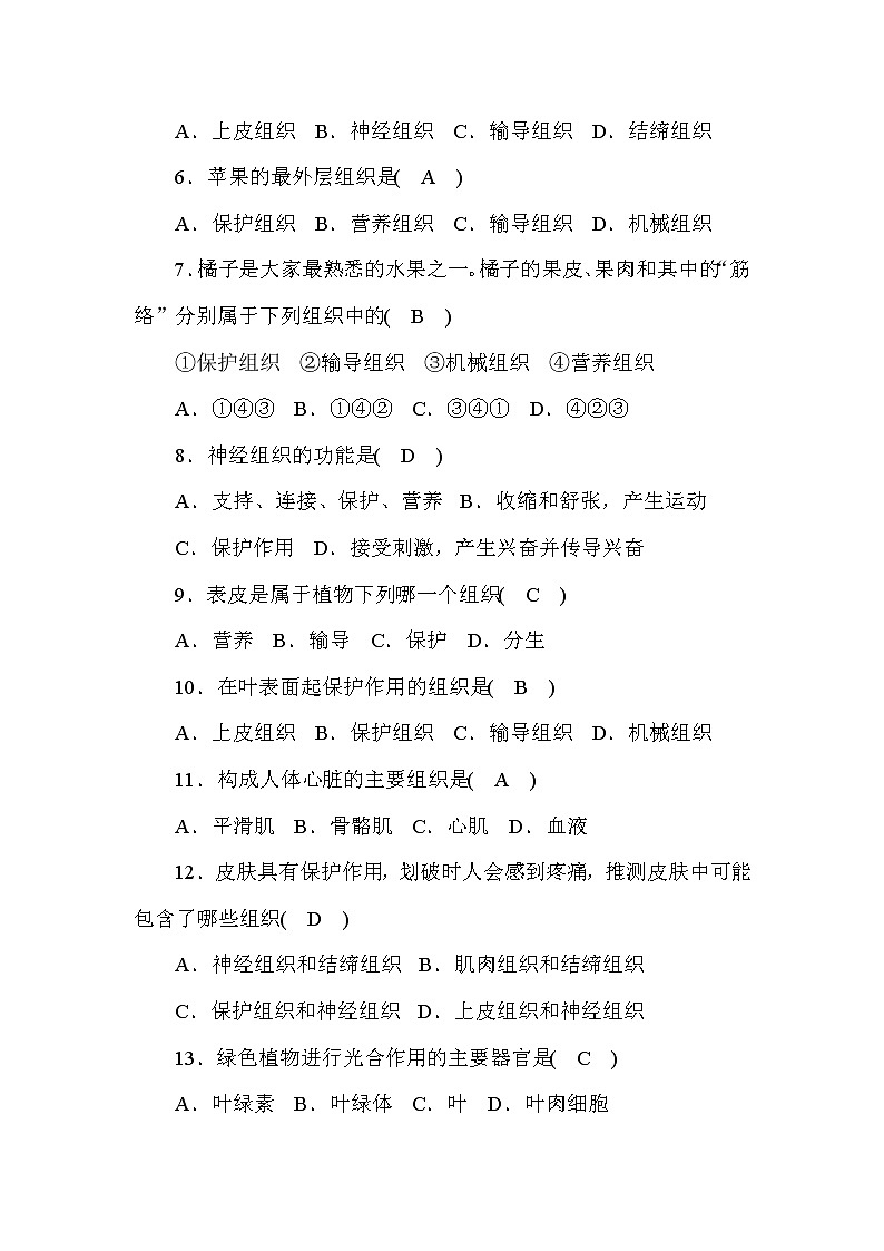 (华东师大版)2020年七年级上科学 3 组织、器官和系统 第1课时(含答案) 试卷02