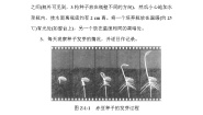 (华东师大版）2020年七年级上科学  创新专题(一)　观察豆类种子的发芽及幼苗生长对光的适应 （含答案）