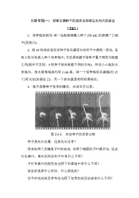 (华东师大版）2020年七年级上科学  创新专题(一)　观察豆类种子的发芽及幼苗生长对光的适应 （含答案）