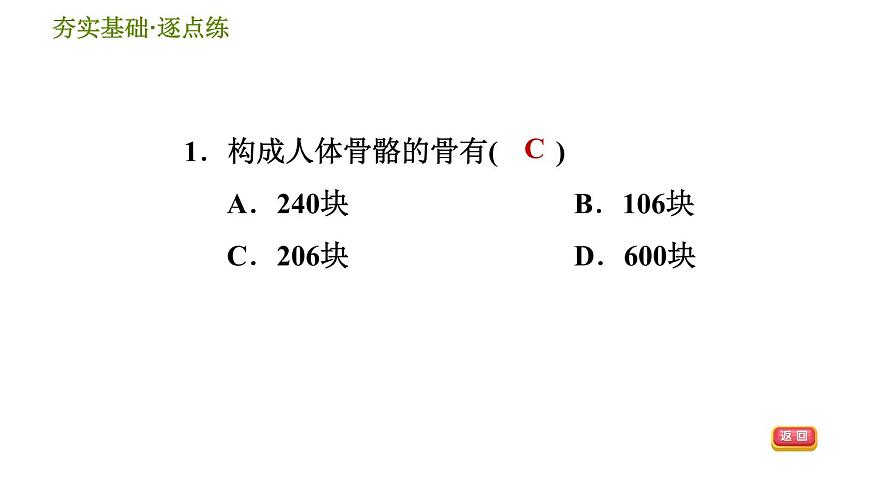 華師版九年級(jí)下冊(cè)科學(xué)課件 第4章 4.2 運(yùn)動(dòng)與健康第3頁(yè)