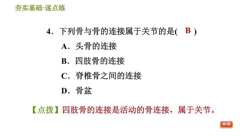 華師版九年級(jí)下冊(cè)科學(xué)課件 第4章 4.2 運(yùn)動(dòng)與健康第6頁(yè)