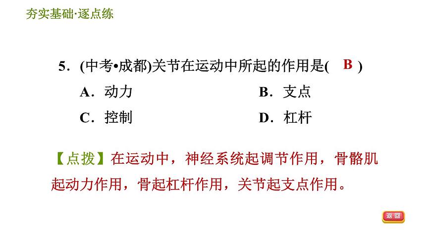 華師版九年級(jí)下冊(cè)科學(xué)課件 第4章 4.2 運(yùn)動(dòng)與健康第7頁(yè)