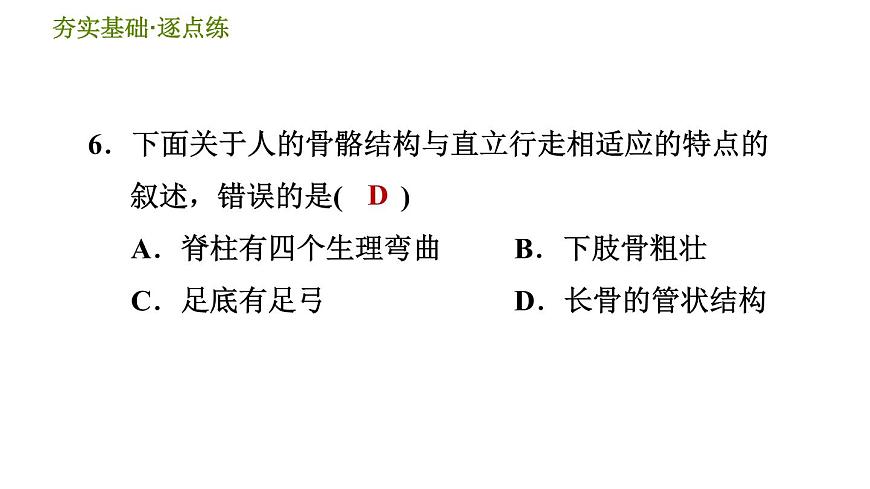 華師版九年級(jí)下冊(cè)科學(xué)課件 第4章 4.2 運(yùn)動(dòng)與健康第8頁(yè)