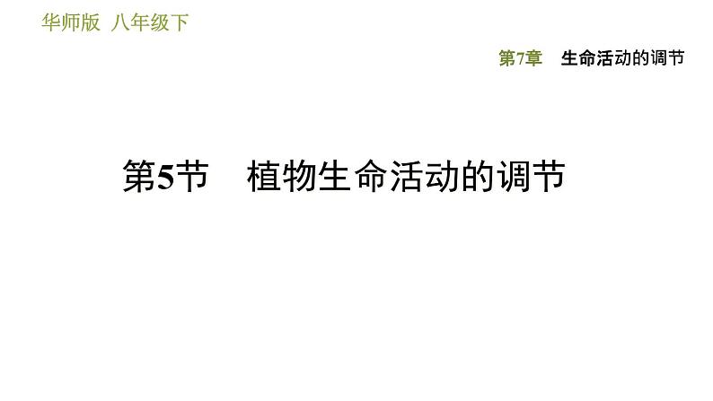 华师版八年级下册科学习题课件 第7章 7.5 植物生命活动的调节0第1页