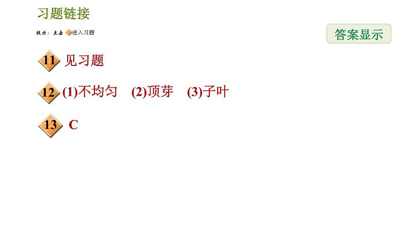 华师版八年级下册科学习题课件 第7章 7.5 植物生命活动的调节0第3页