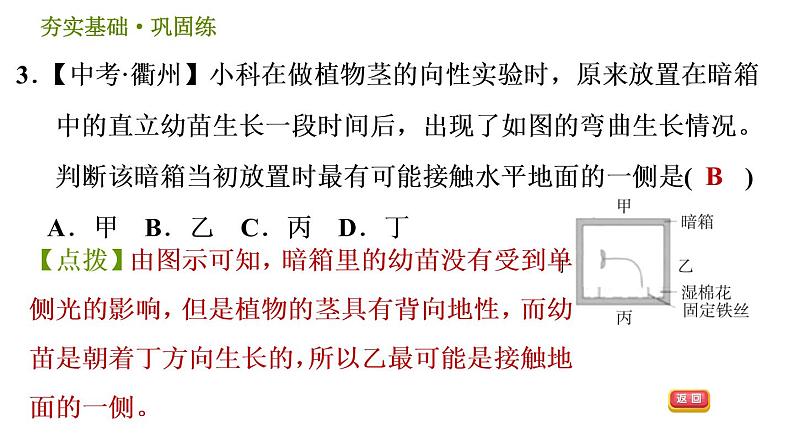 华师版八年级下册科学习题课件 第7章 7.5 植物生命活动的调节0第6页