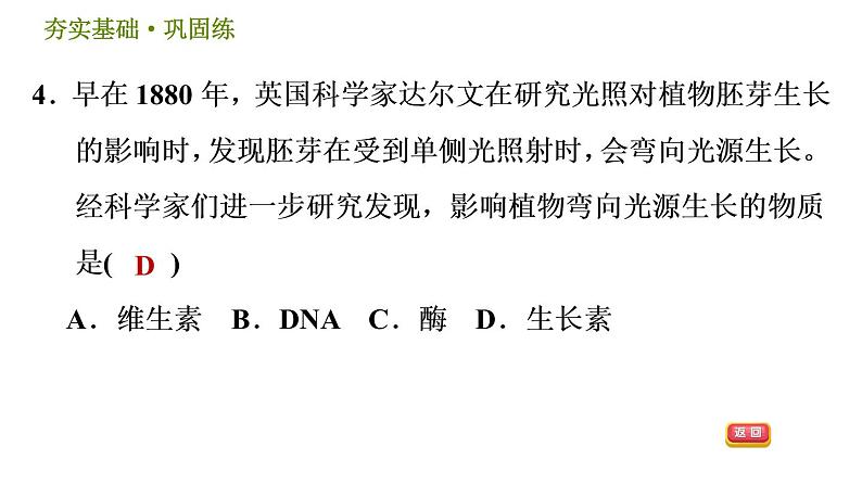 华师版八年级下册科学习题课件 第7章 7.5 植物生命活动的调节0第7页