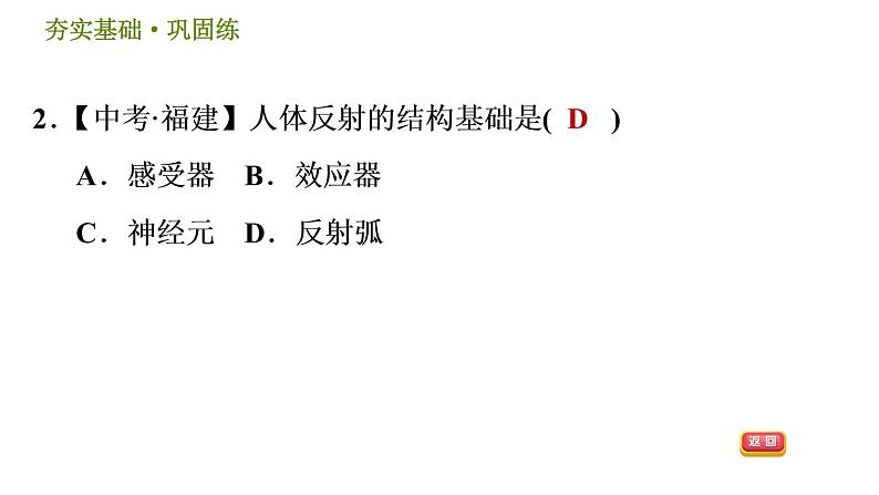 华师版八年级下册科学课件 第7章 7.2.2 神经调节的基本方式05