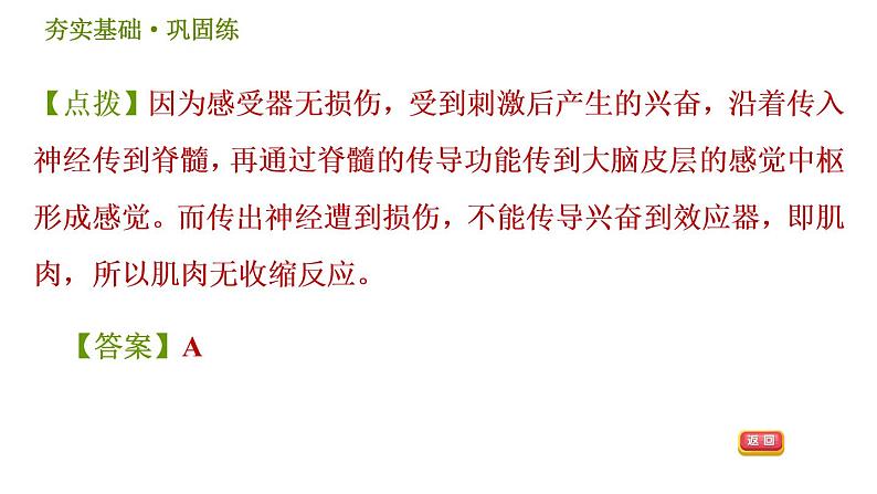 华师版八年级下册科学课件 第7章 7.2.2 神经调节的基本方式08