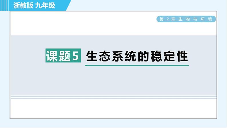 浙教版九年级下册科学 第2章 2.5生态系统的稳定性 习题课件第1页