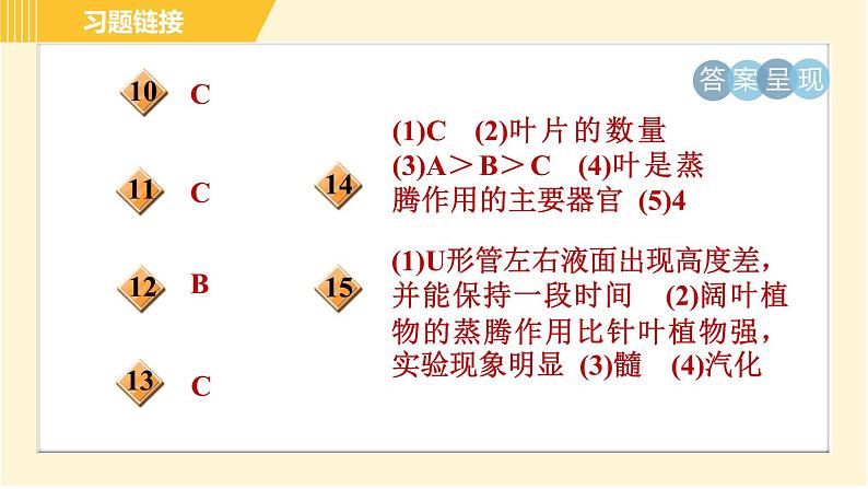 华师版八年级上册科学习题课件 第4章 4.2.2 水分的散失—蒸腾作用第3页
