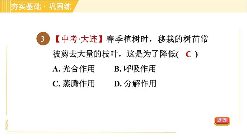 华师版八年级上册科学习题课件 第4章 4.2.2 水分的散失—蒸腾作用第6页