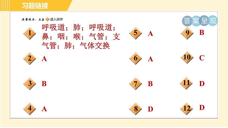 華師版B本八年級上冊科學(xué)習(xí)題課件 第5章 5.2.1 呼吸系統(tǒng)的組成和結(jié)構(gòu)第2頁