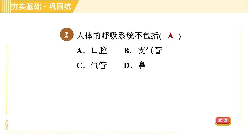 華師版B本八年級上冊科學(xué)習(xí)題課件 第5章 5.2.1 呼吸系統(tǒng)的組成和結(jié)構(gòu)第6頁