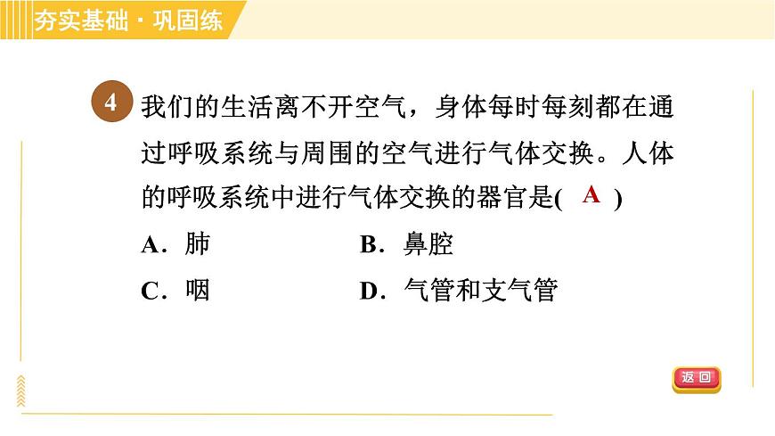 華師版B本八年級上冊科學(xué)習(xí)題課件 第5章 5.2.1 呼吸系統(tǒng)的組成和結(jié)構(gòu)第8頁