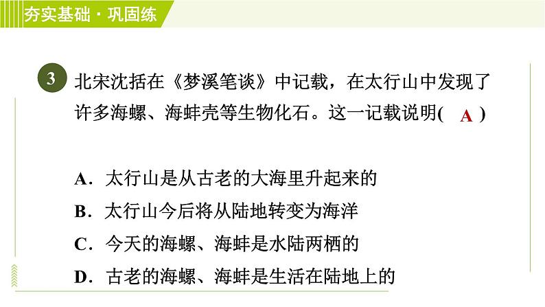 浙教版B本七年级上册科学习题课件 第3章 3.4地壳变动和火山地震06