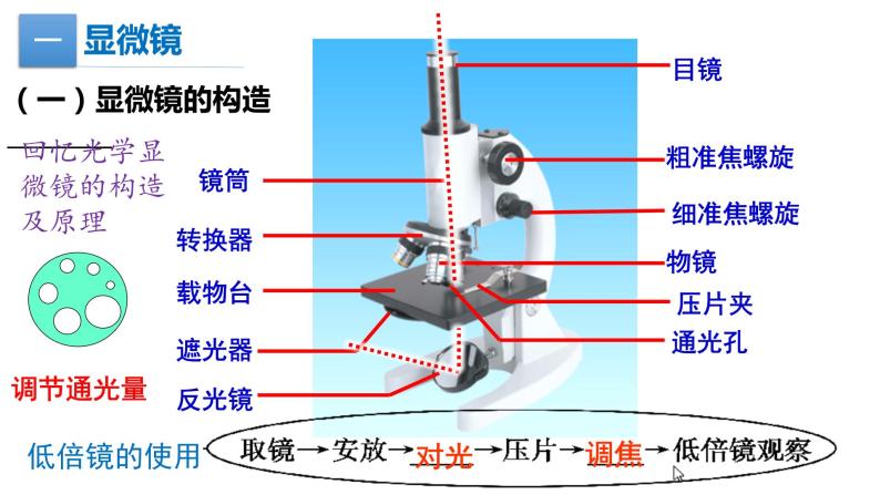 1.2细胞的统一性和多样性课件PPT03