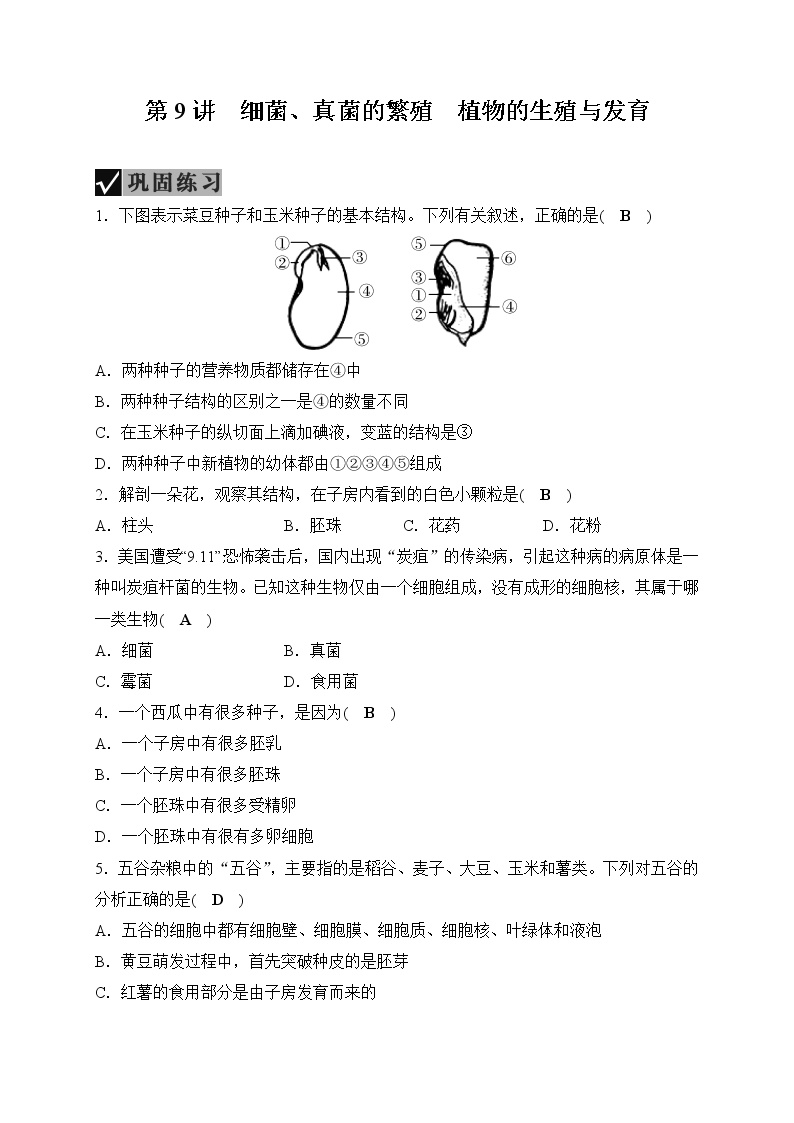 备战2022 中考科学 一轮复习 第2部分 第9讲　细菌、真菌的繁殖　植物的生殖与发育 同步练习