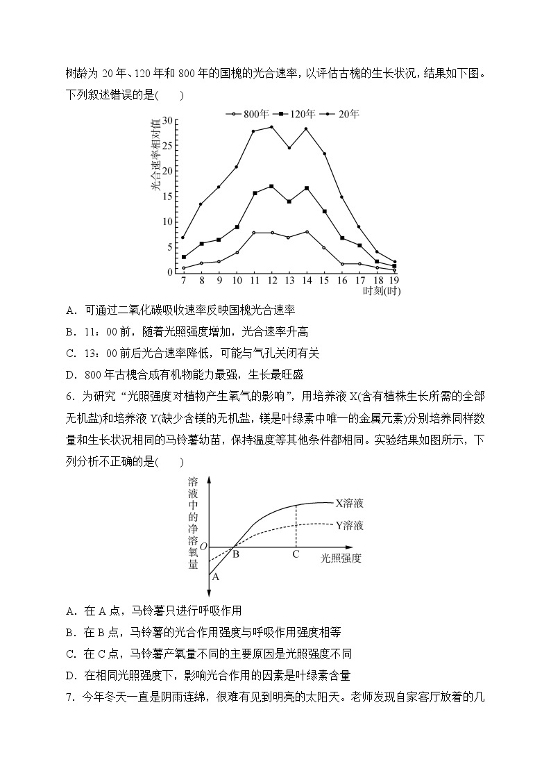 备战2022 中考科学 一轮复习 第2部分 第5讲　绿色植物的物质和能量转换(二) 同步练习02