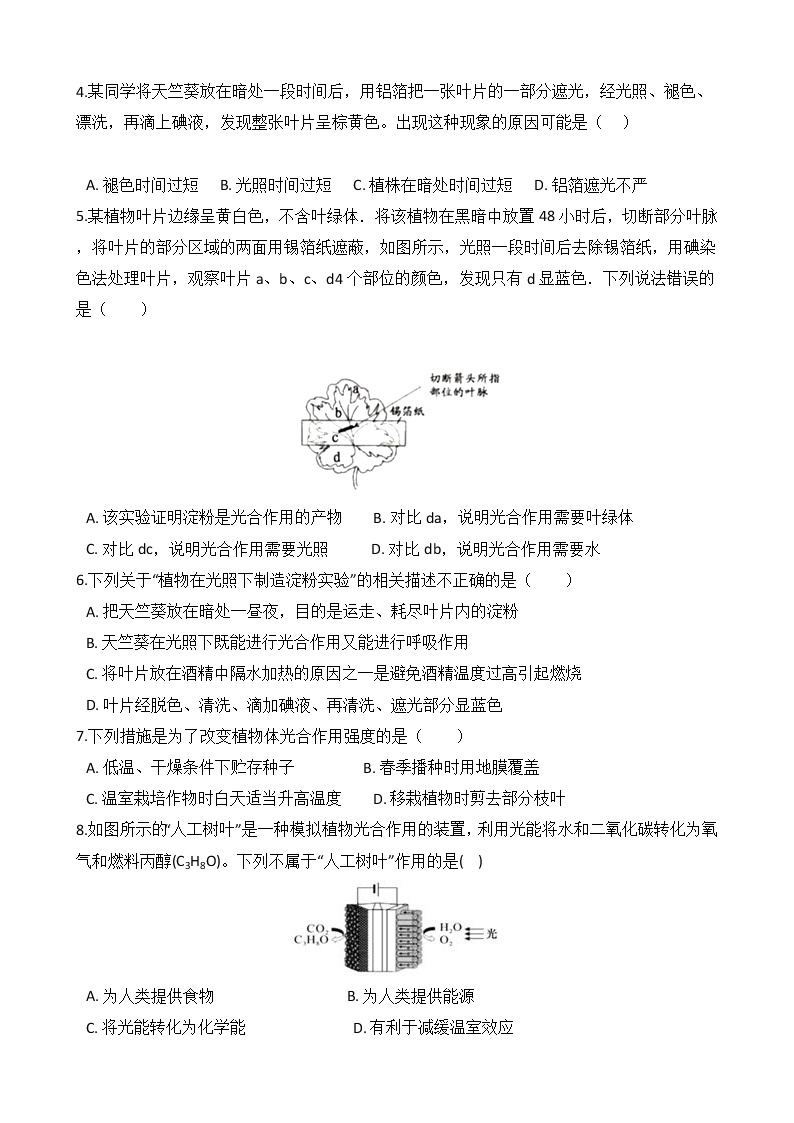 第10讲 光合作用  备战2022 浙教版科学 中考高频考点 加强练02