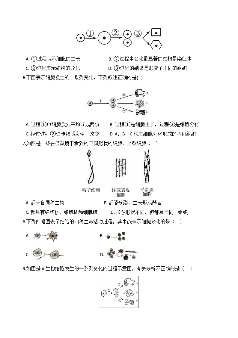第5讲 细胞的分裂、分化和生长 备战2022 浙教版科学 中考高频考点 加强练第2页