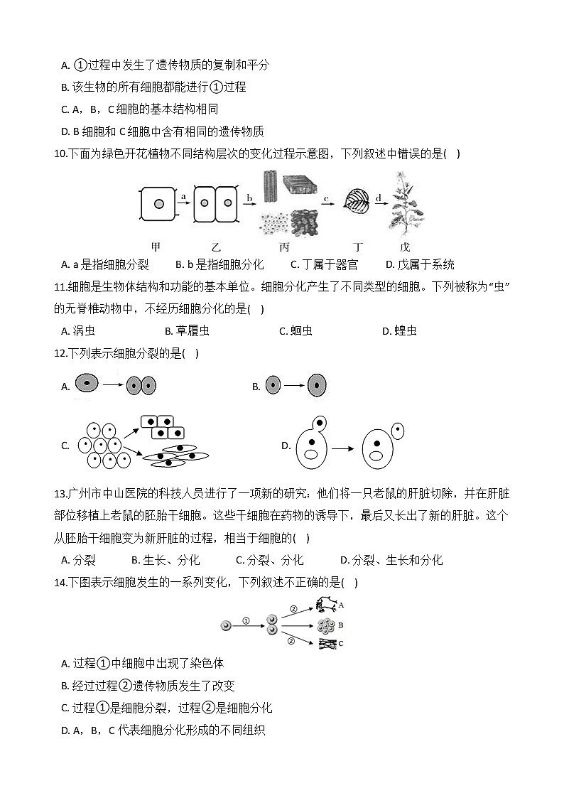 第5讲 细胞的分裂、分化和生长 备战2022 浙教版科学 中考高频考点 加强练第3页
