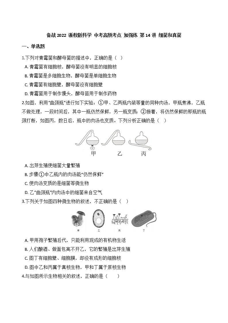 第14讲 细菌和真菌 备战2022 浙教版科学 中考高频考点 加强练第1页