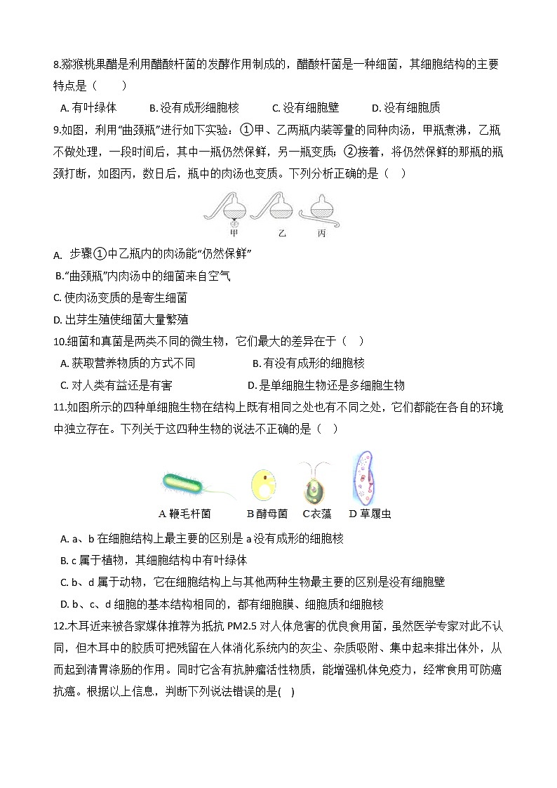 第14讲 细菌和真菌 备战2022 浙教版科学 中考高频考点 加强练第3页
