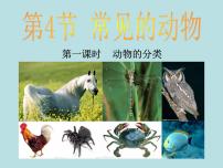 初中科学浙教版七年级上册第4节 常见的动物图文课件ppt