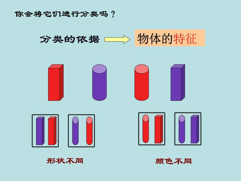 2.4  常见的动物（第1课时）—浙教版七年级科学上册课件(共18张PPT)04