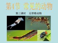 浙教版七年级上册第2章 观察生物第4节 常见的动物说课课件ppt