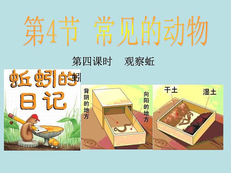 2.4 常见的动物(第4课时)—浙教版七年级科学上册课件(共18张PPT)第1页