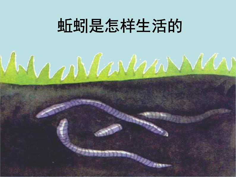 2.4 常见的动物(第4课时)—浙教版七年级科学上册课件(共18张PPT)第2页